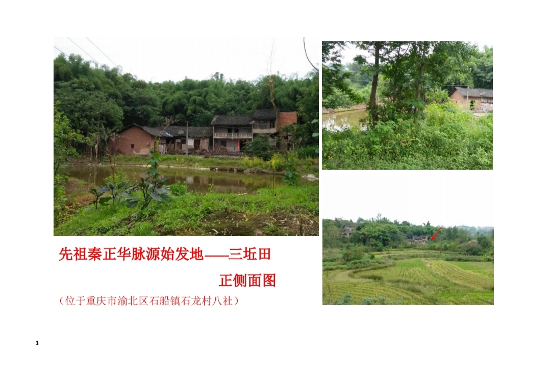 重庆市渝北区石船镇麻柳沱(三坵田)《秦氏族谱》（谱牒资料）.jpg