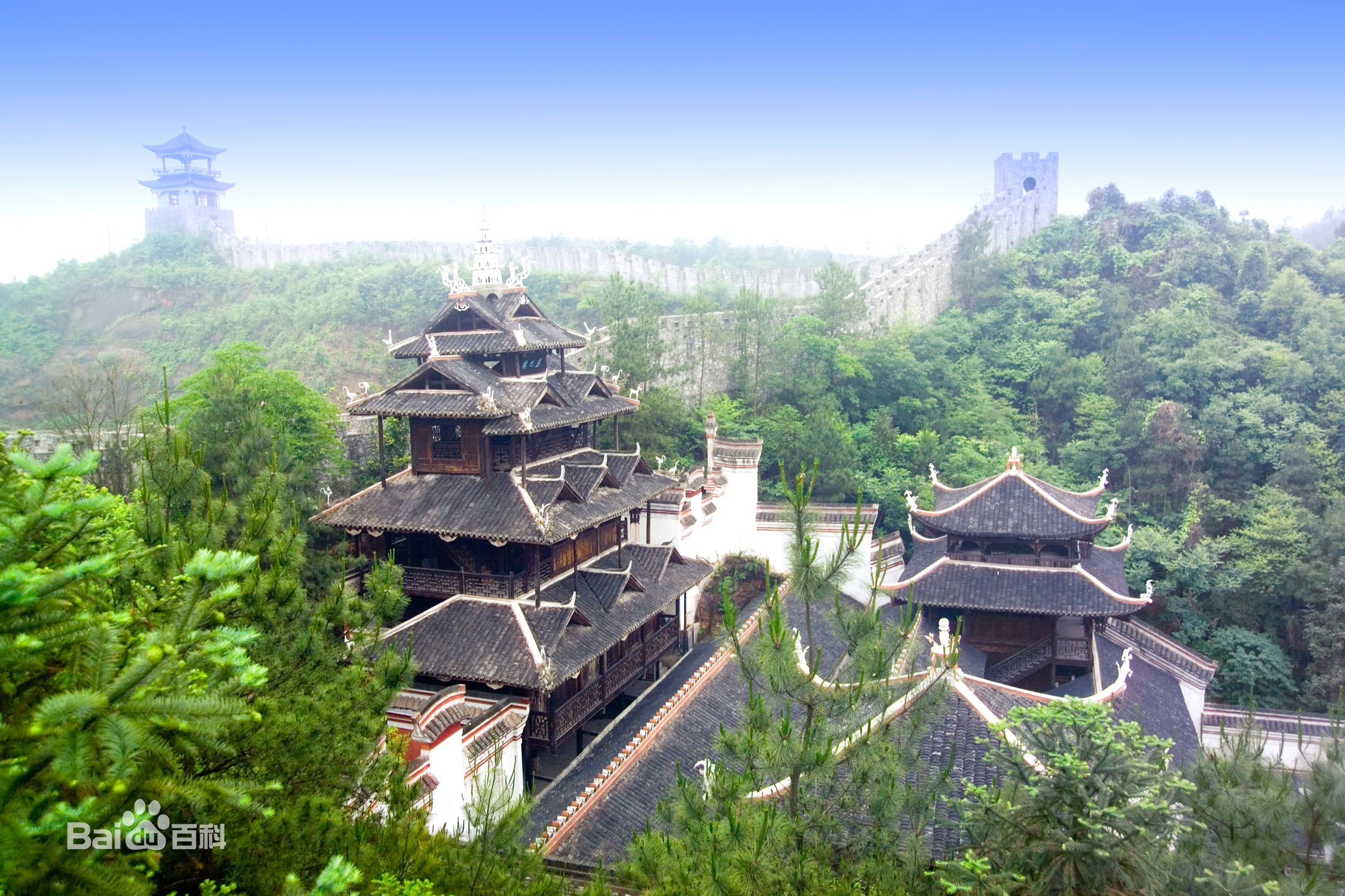 shen_c6011a6737d433a89a_01.jpg