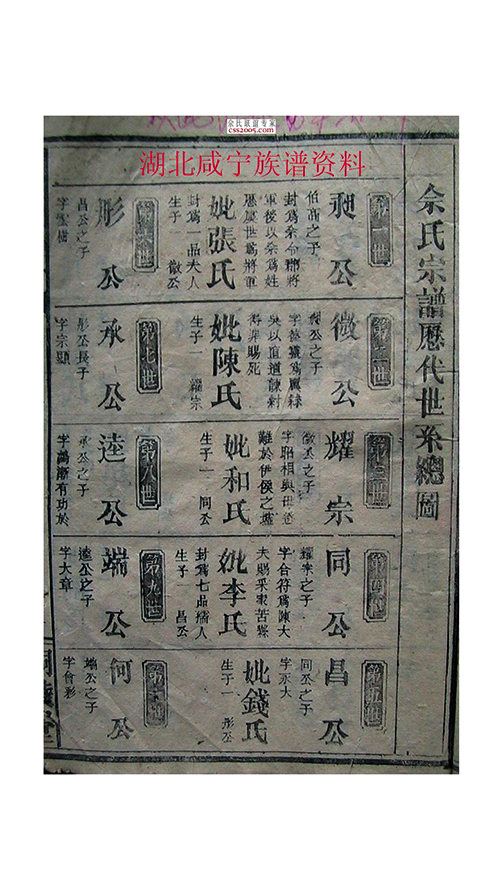 184a5cf3e8ed40a9cb3bdbe8cfa0.jpg
