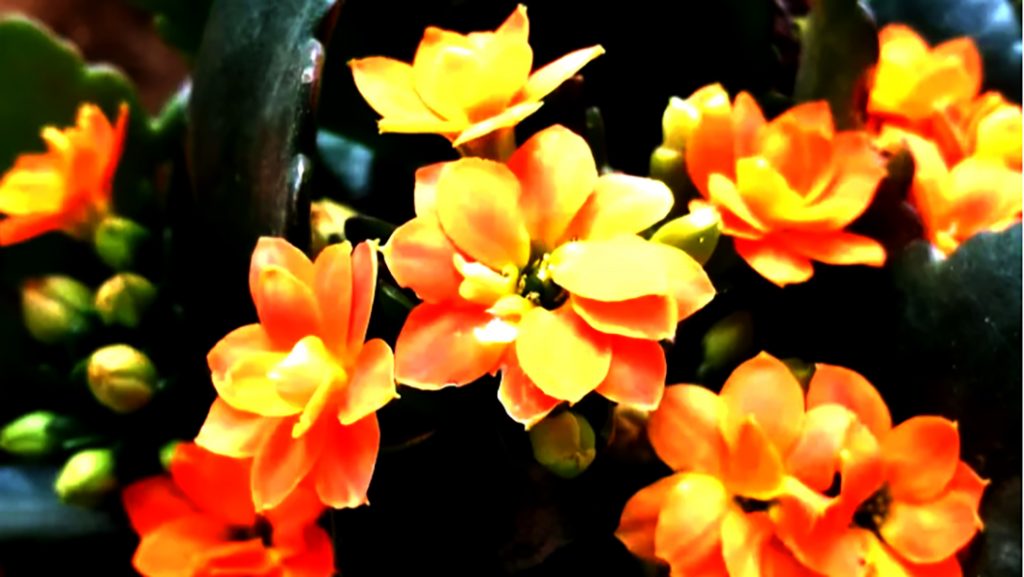 54abbb11f08b4309b427383cc4a9.jpg