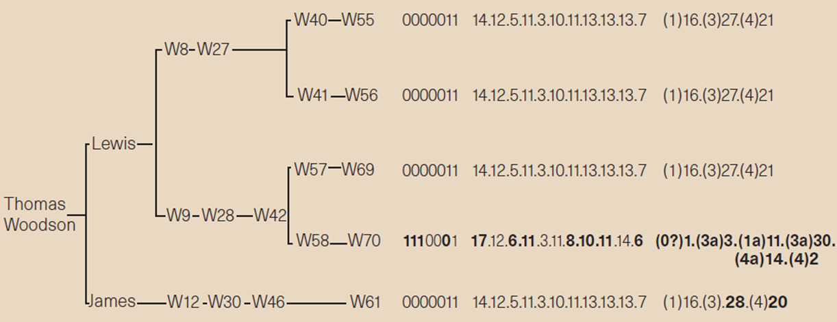 香火延续过程血缘的扰动和识别.png