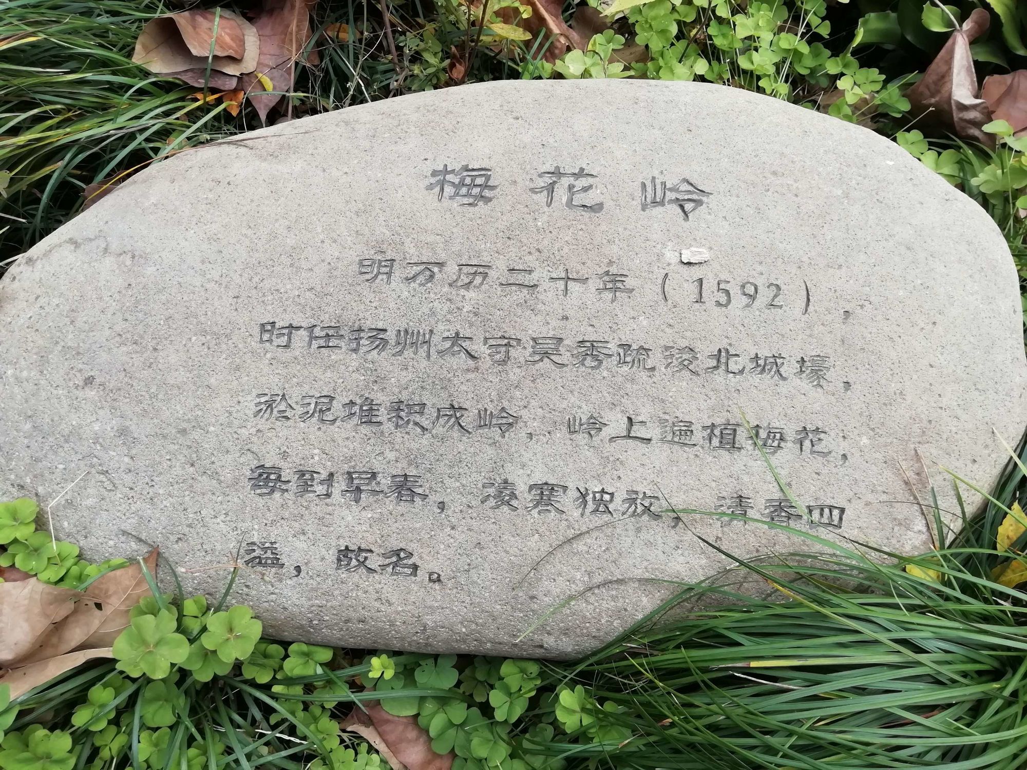 梅花岭记.jpg