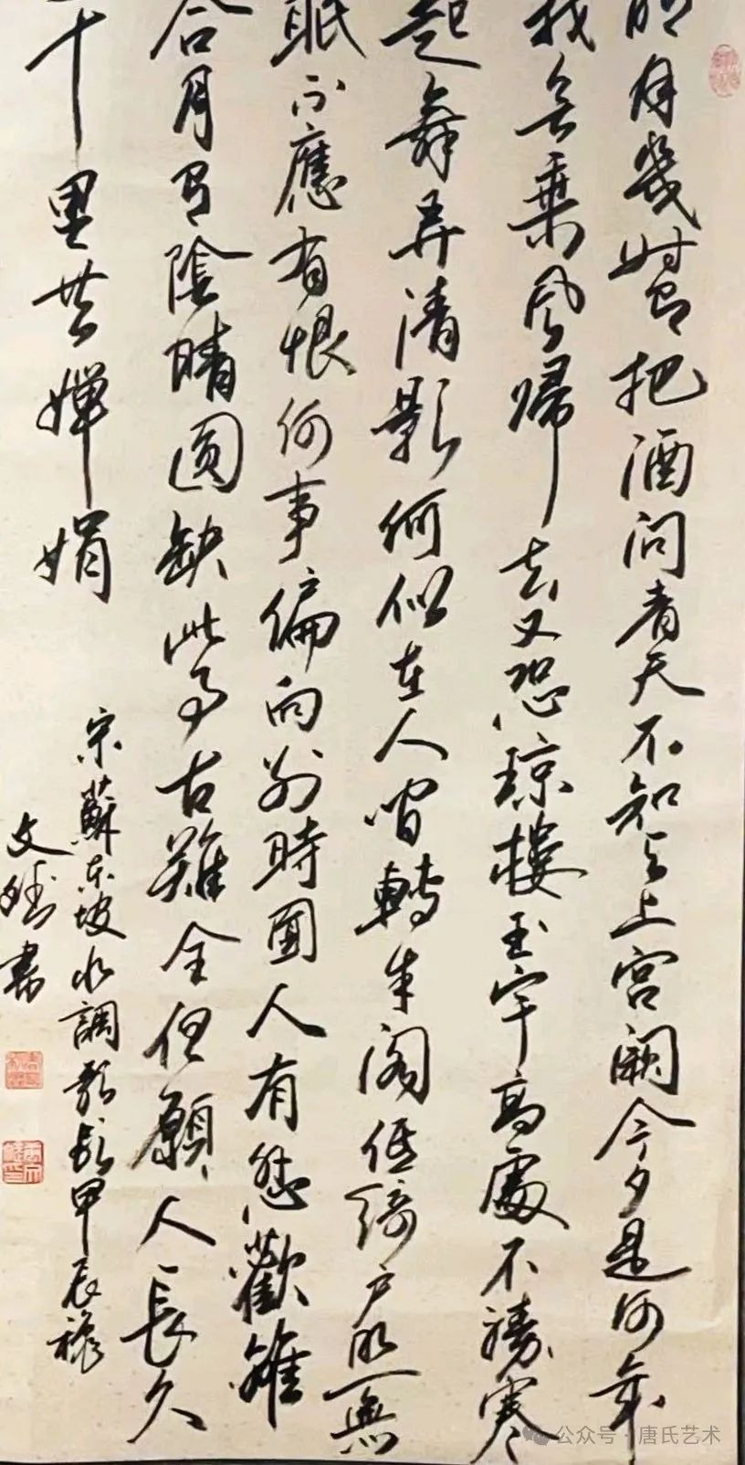 tang_0a563b0af4e0ca565b_73.jpg