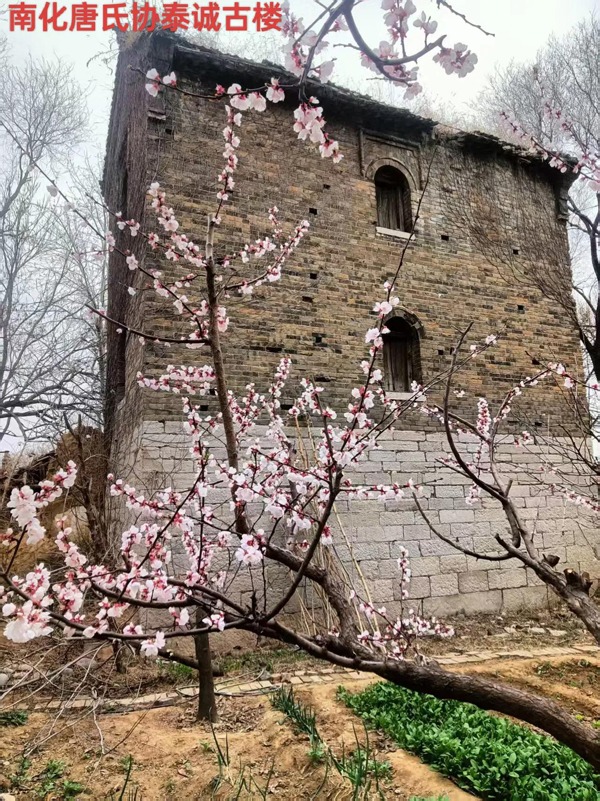 tang_3f6295347bf1c67131_03.jpg