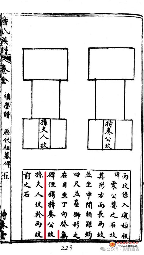 tang_43a7d8f623fe8f161f_03.jpg