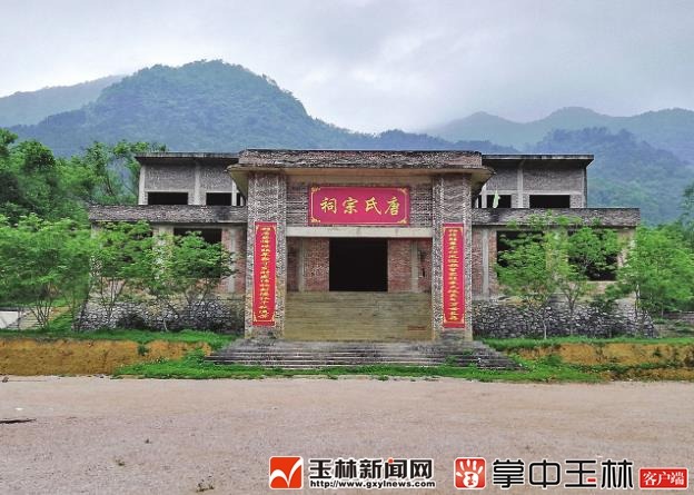 tang_640693abb67c7552ae_04.jpg