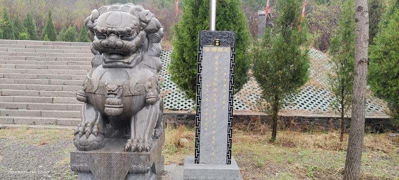 tang_744815f6698b0ab1e9_08.jpg