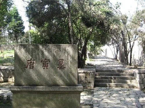 tang_915a1bfb368c86ed1d_00.jpg