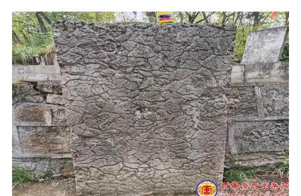 tang_95e3234b65e54ba0af_07.jpg