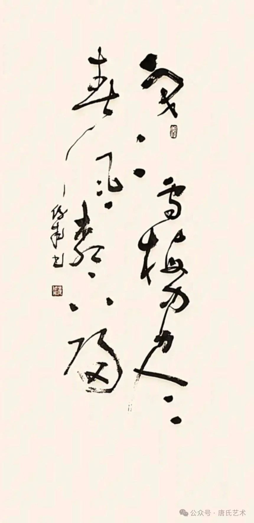 tang_a404bbdb94c06890f6_06.jpg