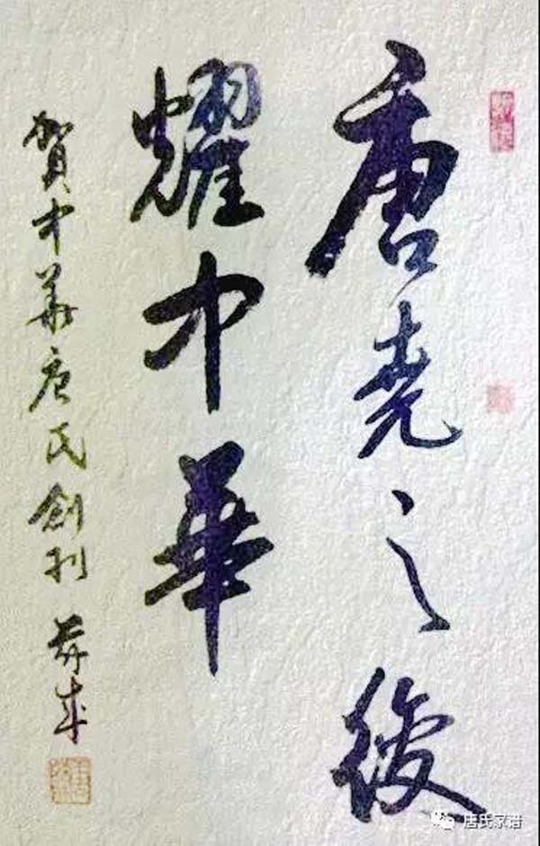 tang_a496333df36e767389_03.jpg