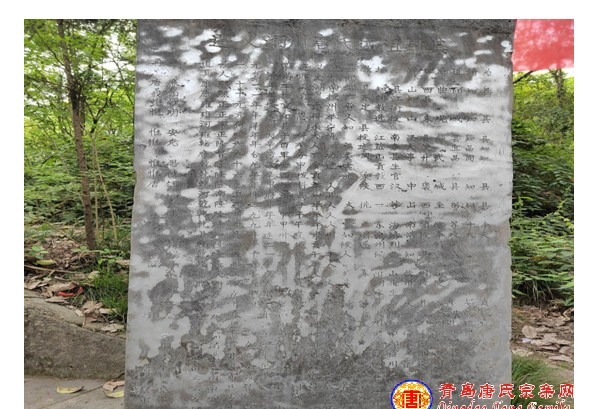 tang_a498cdca35680c901a_09.jpg
