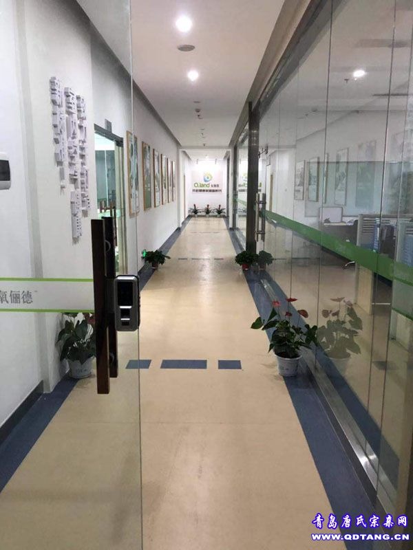 tang_ab148c2dfee1a76c7f_01.jpg