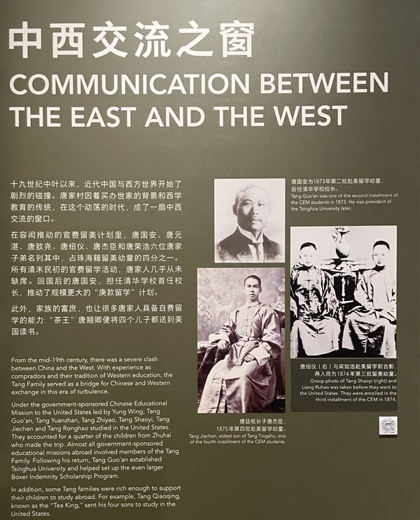 tang_b818cf5a8c668d0086_01.jpg