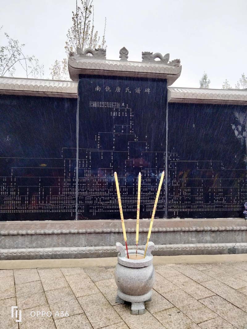 tang_ea89f3e2b57b67096f_02.jpg