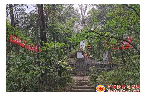 tang_eb2e963af628afa4e8_02.jpg