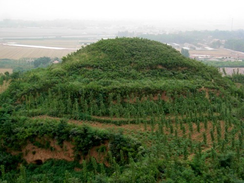 tian_1946_9909d135d6bc918ca322.jpg