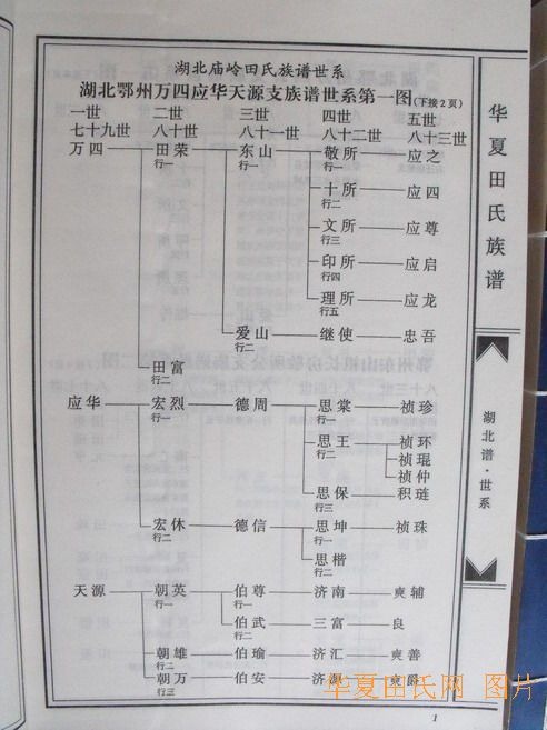 tian_2242_49cc8aa6fdc7c0c5a8c9.jpg