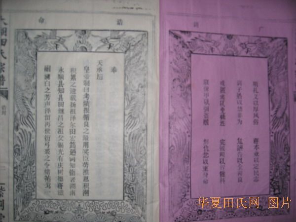 tian_2242_beeadbeaad221de1b2c3.jpg