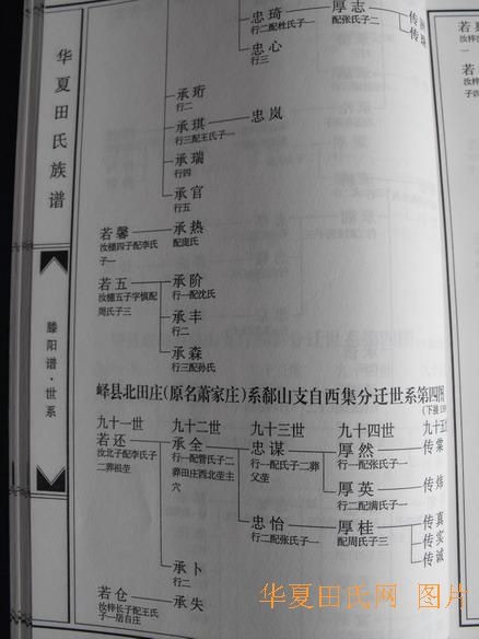 tian_2258_43c9fce92bef9db0bad6.jpg