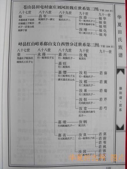 tian_2258_503d18f7aa2017b9c047.jpg