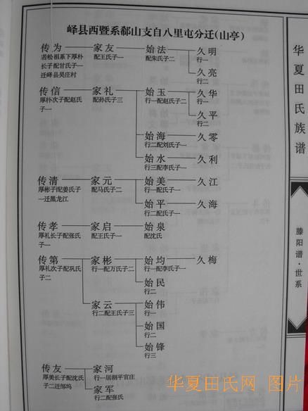 tian_2258_59a0757123a86fd36803.jpg