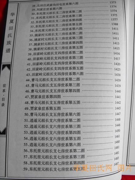 tian_2258_5b5281e1bd5ec67f6454.jpg
