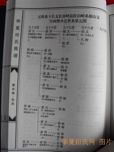 tian_2258_a31b114fc764eaa35d2a.jpg