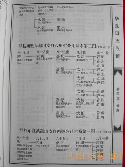 tian_2258_aa0d2b4e0e6c227549ab.jpg