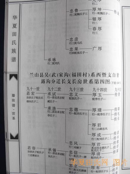 tian_2258_d71f4dfedb21a3586f4b.jpg
