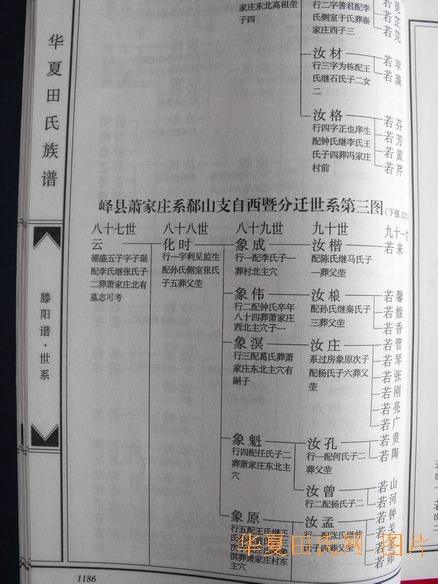 tian_2258_e593db8f805837edbbc8.jpg