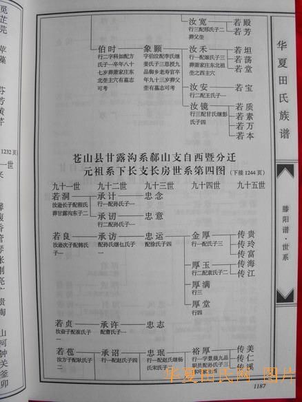 tian_2258_fa0bfd479e3c72a6419f.jpg