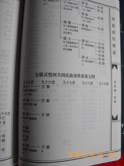 tian_2259_ae3a8730931141c7847c.jpg