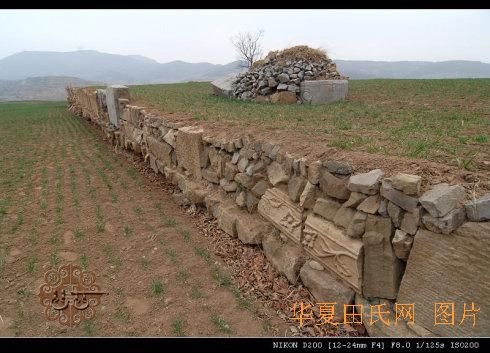 tian_2583_fcfc97334736921828ae.jpg