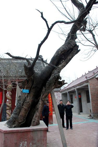 tian_2652_863edfc89f7d3867eb22.jpg