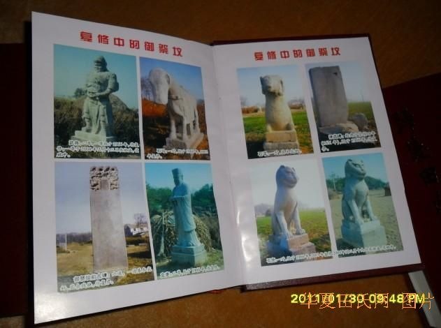 tian_2833_45f4c92e9e0db6bf7582.jpg