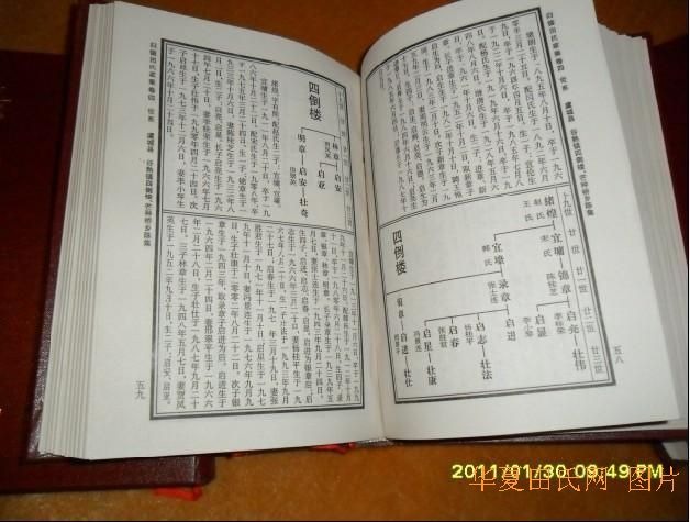 tian_2833_ab8c9ed09919f4b31482.jpg