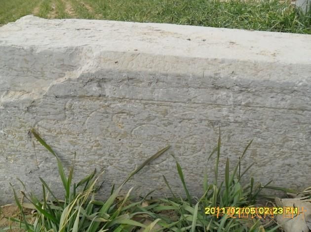 tian_2882_34d31716d87bee929820.jpg