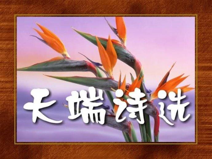 tian_3175_1a5c56474ee34a3f3879.jpg