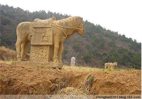 tian_3323_4a12ec3b7ef587b050a0.jpg