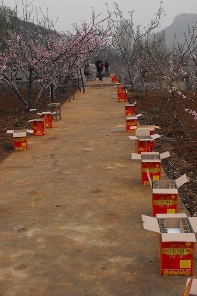 tian_5515_318f0dc28a0d9109f7dc.jpg
