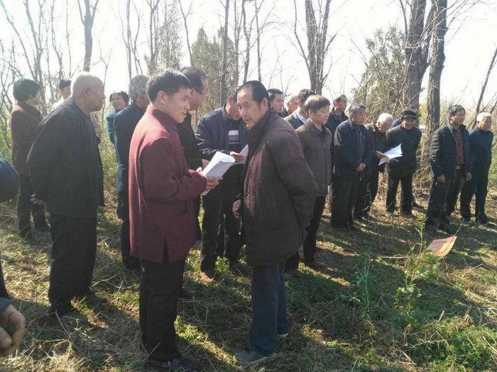 tian_6253_cd78765a2edef70cce57.jpg