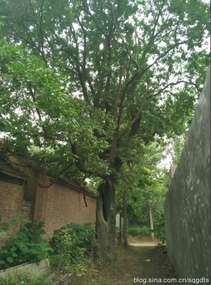 tian_6326_a91dd30c2eccb8655554.jpg