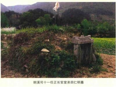 tian_7118_1998d02792a4d8d7d3e1.jpg