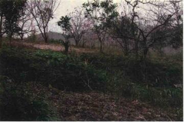 tian_7118_b1e1cb48dd2bd34ae7b3.jpg