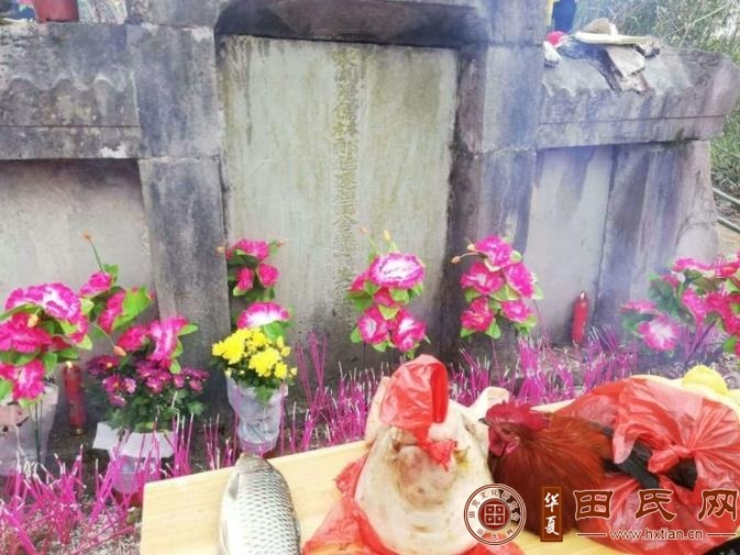 tian_7229_38711c0ccb6375c974a7.jpg