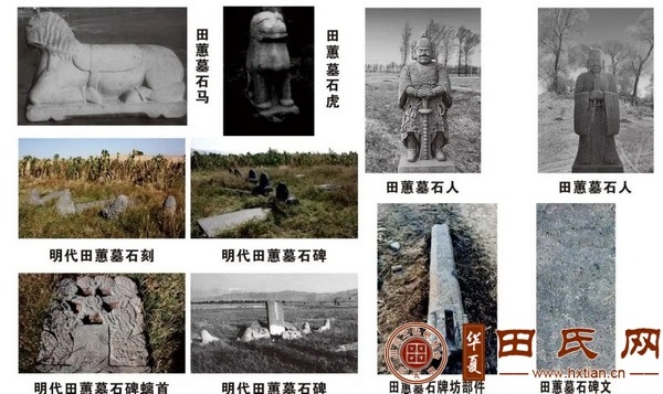 tian_7548_8cf5466cee913988b986.jpg