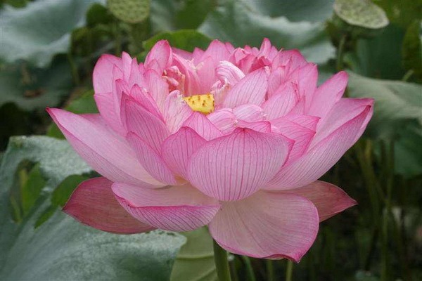 tian_8039_e48aa1a5d509d2c8d2a5.jpg