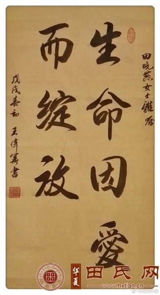 tian_8517_fd32706dfcc03a916cd4.jpg