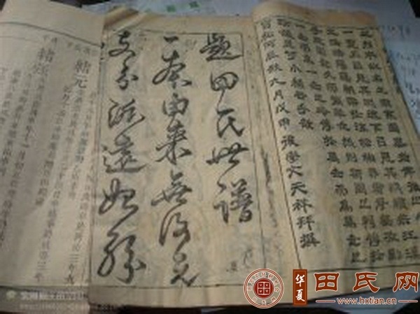 tian_9014_6d7fe9c4472076cfc985.jpg